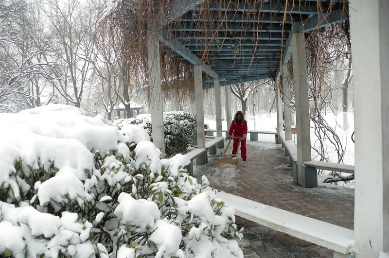 终于下雪了！！