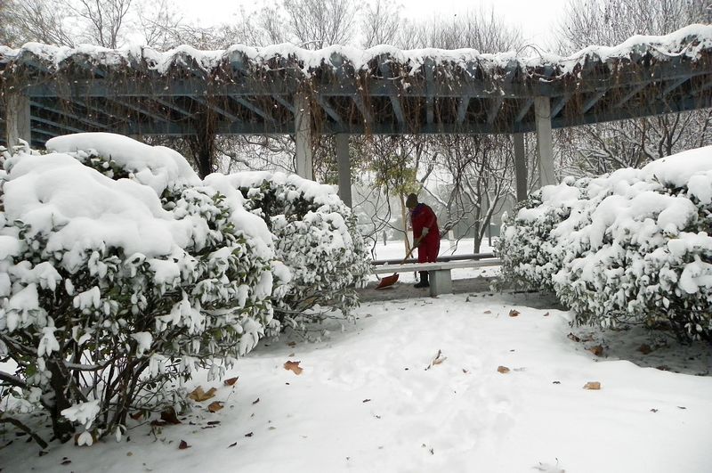 终于下雪了！！