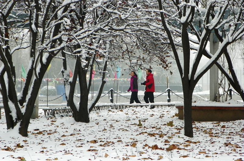 终于下雪了！！