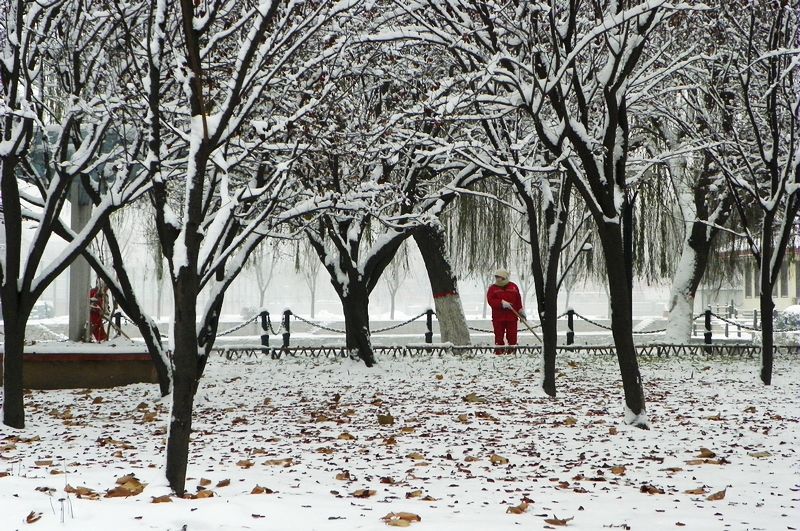 终于下雪了！！
