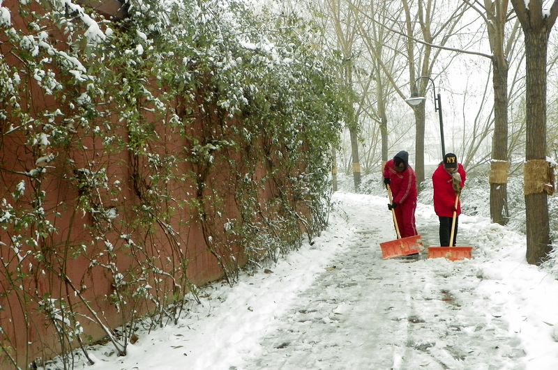终于下雪了！！