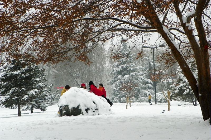 终于下雪了！！