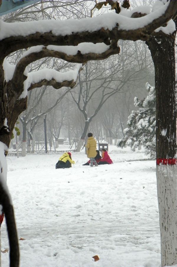 终于下雪了！！