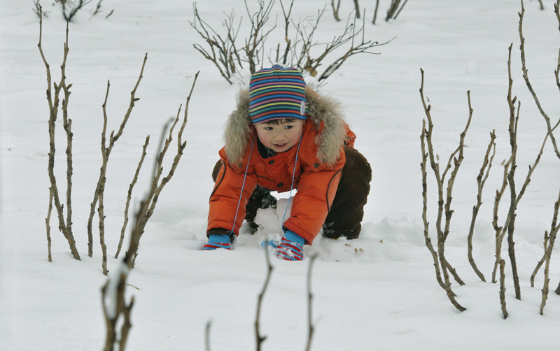 雪中倩影