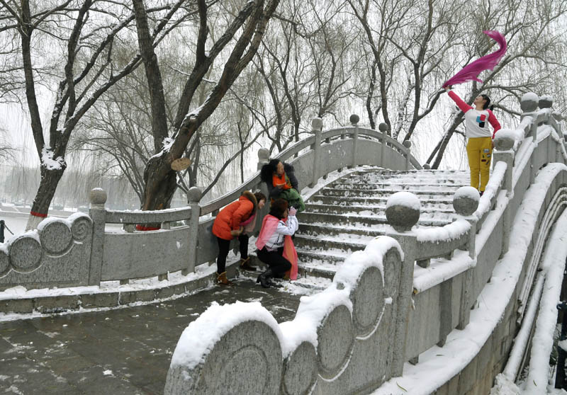 雪中倩影