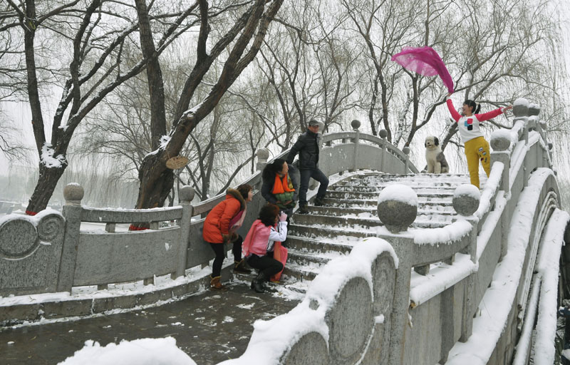 雪中倩影