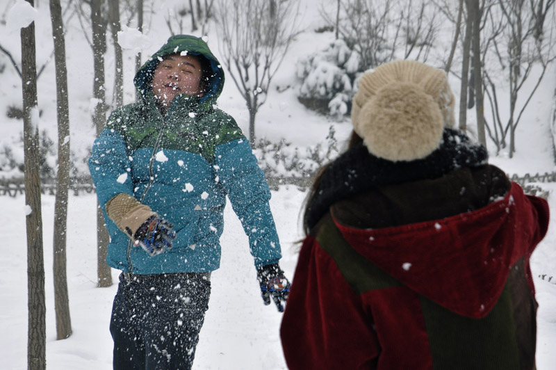 雪中倩影