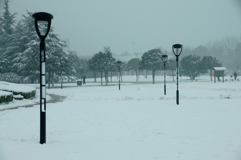 [原创]雪后