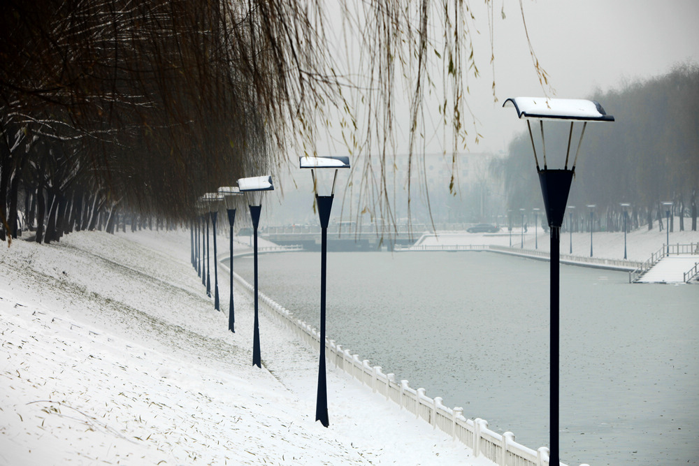 雪景随拍