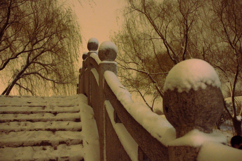 第一次拍雪景，真兴奋！