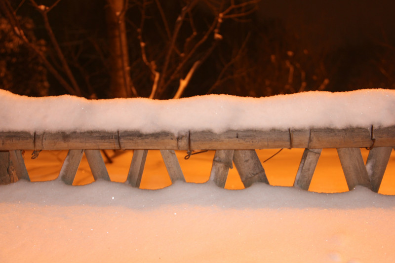 第一次拍雪景，真兴奋！