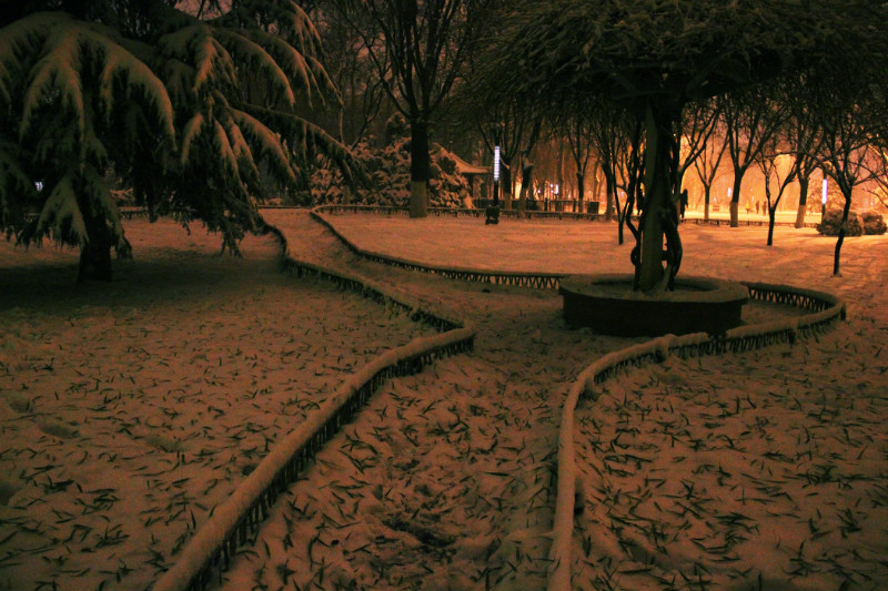 第一次拍雪景，真兴奋！