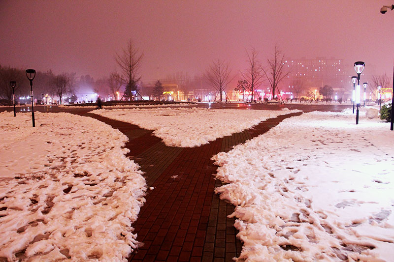 第一次拍雪景，真兴奋！