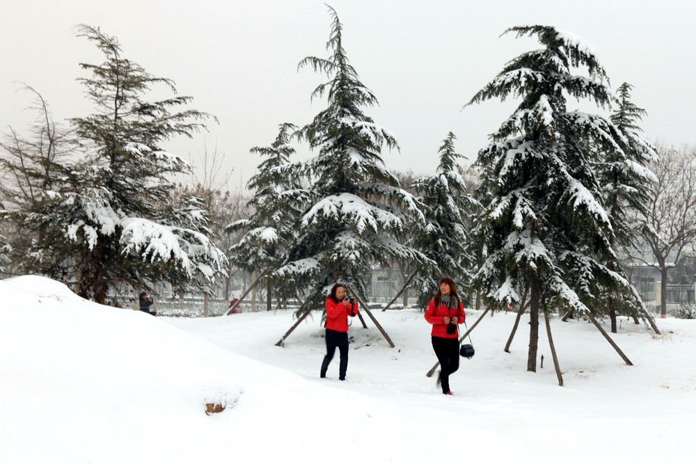 雪景随拍