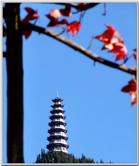红叶