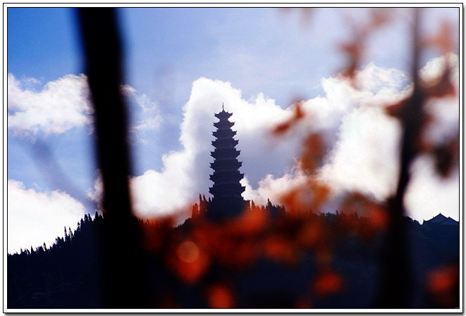 红叶