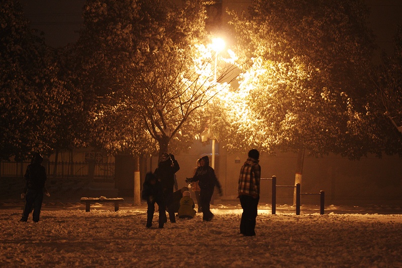 濮阳2012初雪拾遗