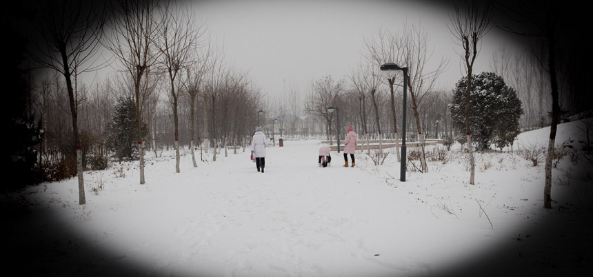 雪景