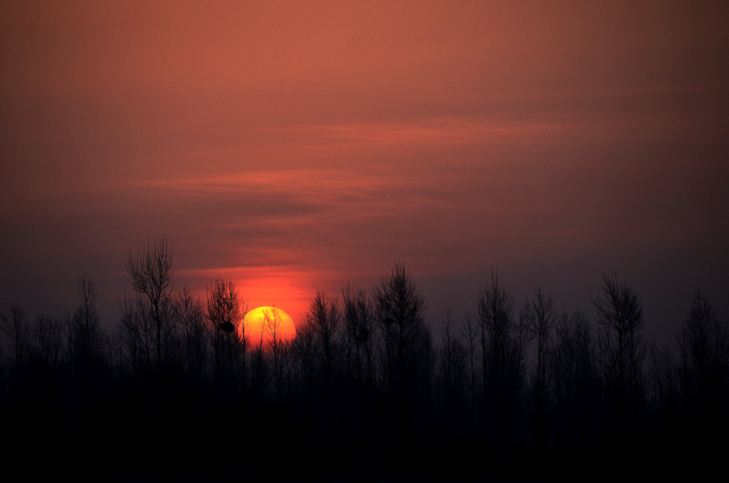 眷夕阳