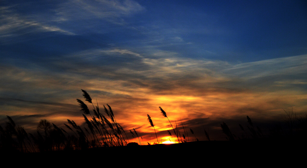 眷夕阳