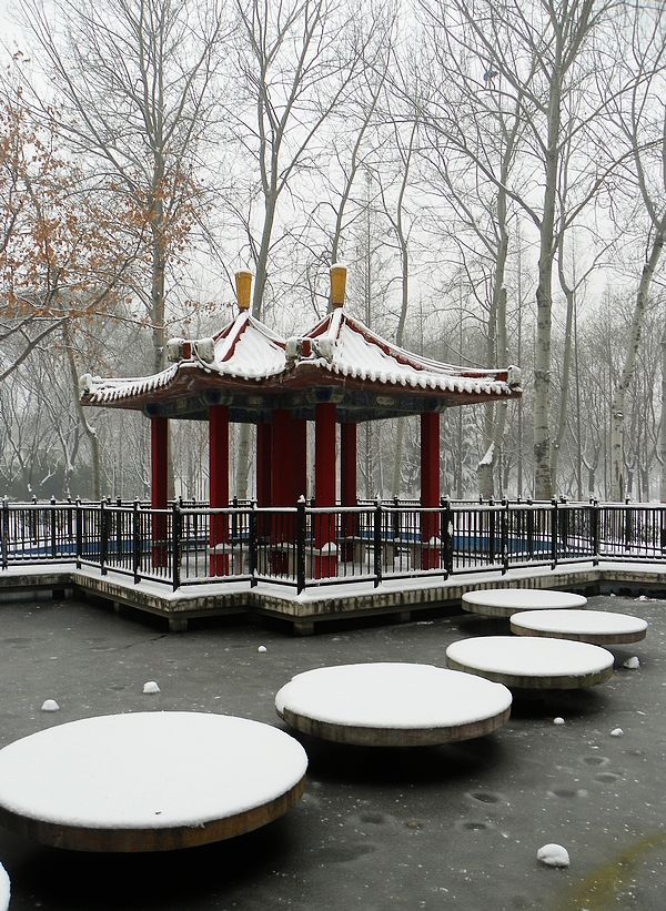 终于下雪了！！