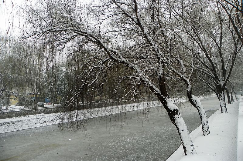 终于下雪了！！