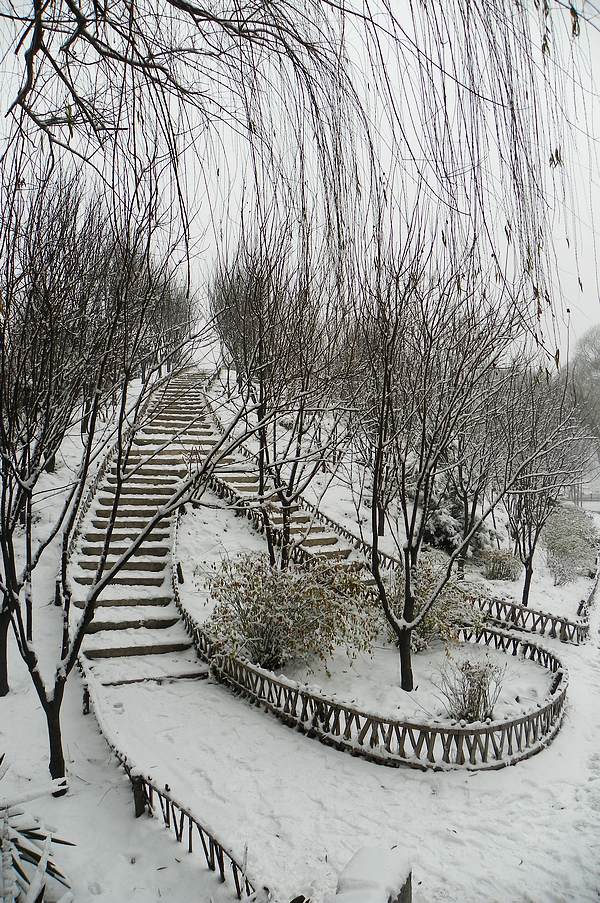 终于下雪了！！