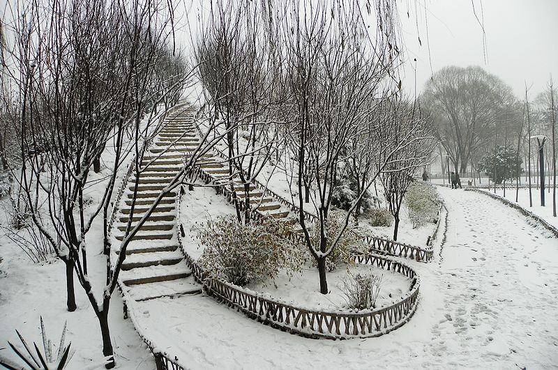 终于下雪了！！