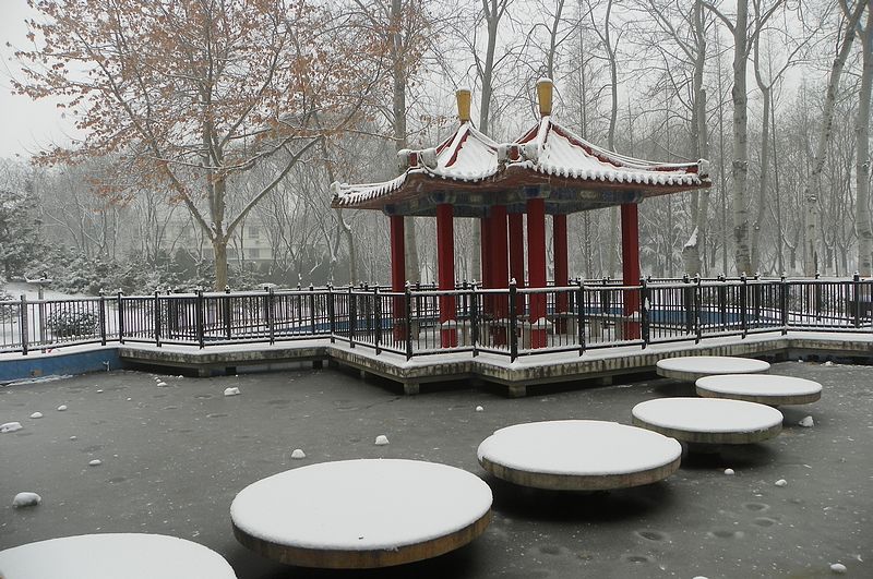 终于下雪了！！
