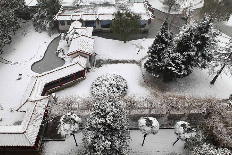 濮阳雪景