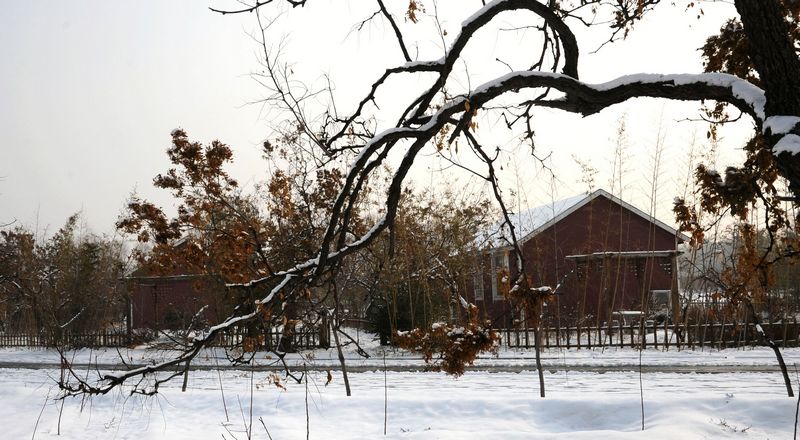 濮上园雪景拾零