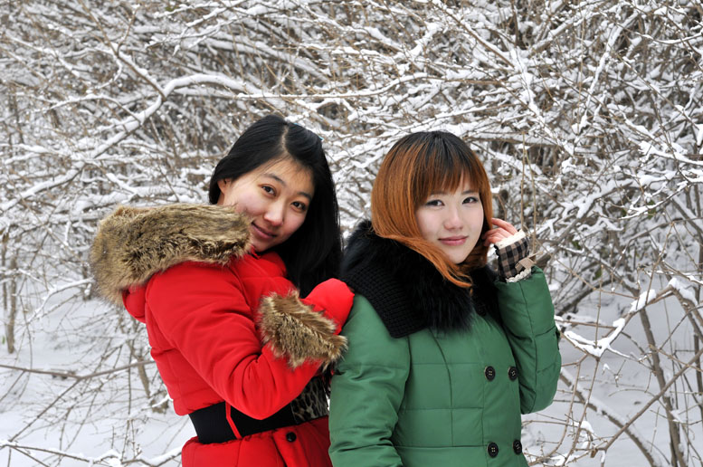 雪趣