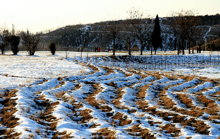踏雪游濮水公园