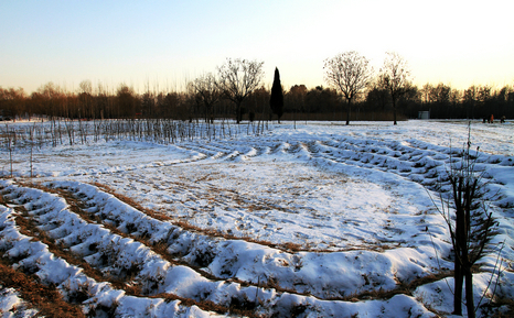 踏雪游濮水公园