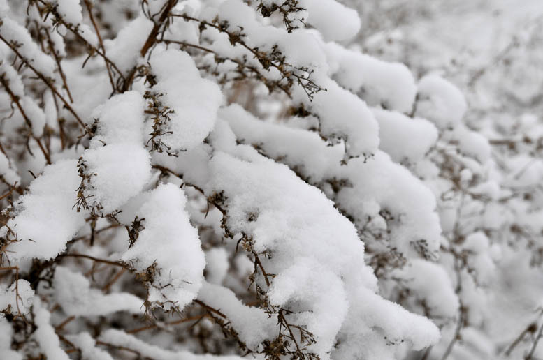 瑞雪兆丰年