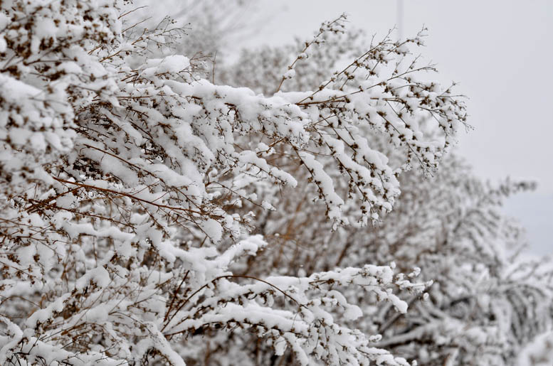 瑞雪兆丰年