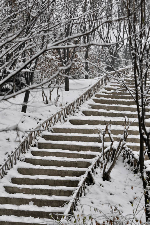 瑞雪兆丰年