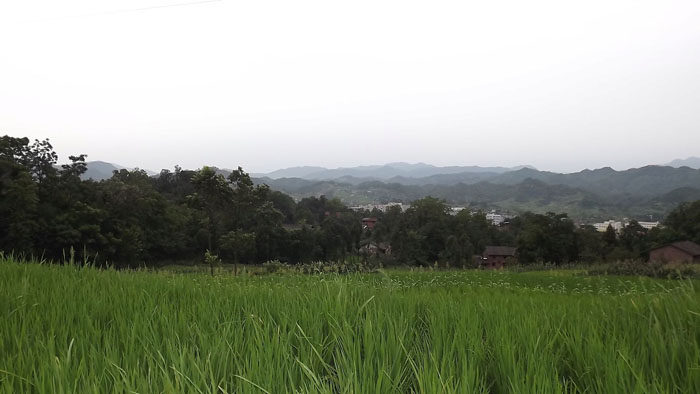 普光气田105基地风光