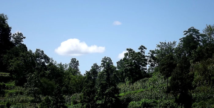 普光气田105基地风光