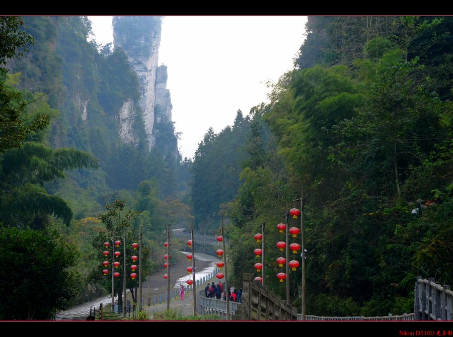 张家界游记5