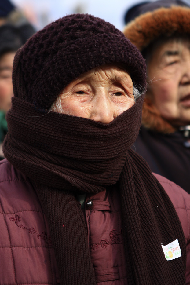 瑕邱戏迷人像