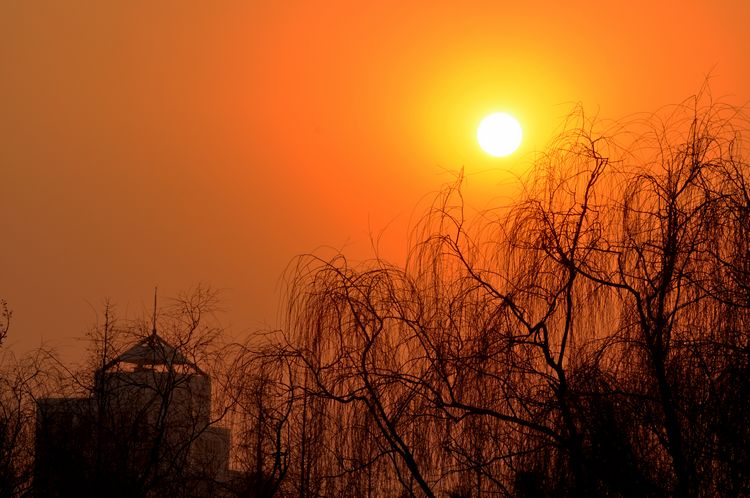 落日练习小片