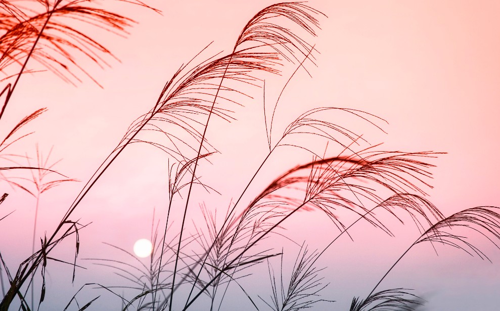 初学者。《夕阳西下》