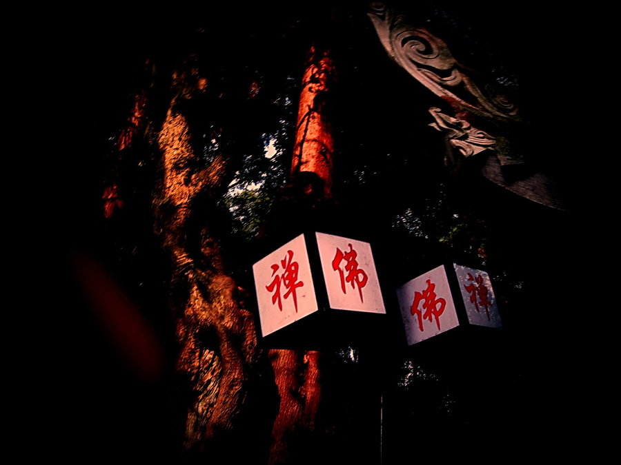 单眼视觉------我的老照片《3》