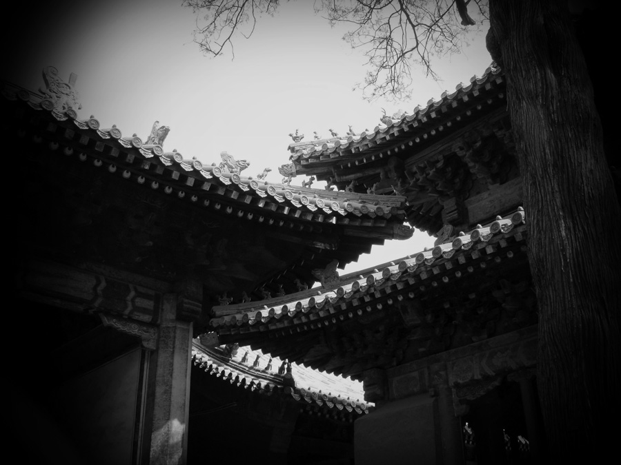 单眼视觉------我的老照片《3》