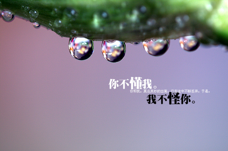 凌波仙子