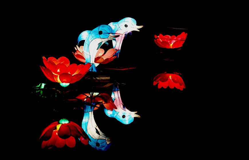 [原创]春节随手拍