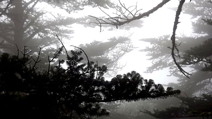 峨眉山旅游片