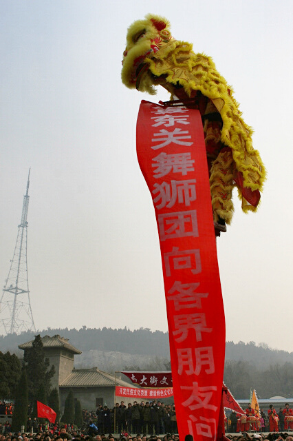 龙狮共舞