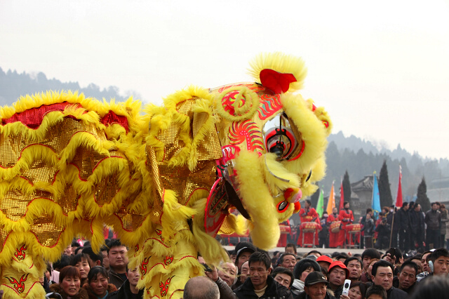 龙狮共舞